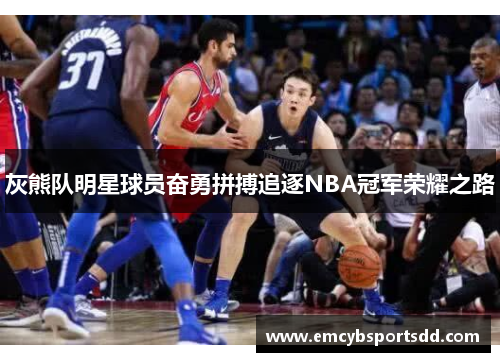 灰熊队明星球员奋勇拼搏追逐NBA冠军荣耀之路